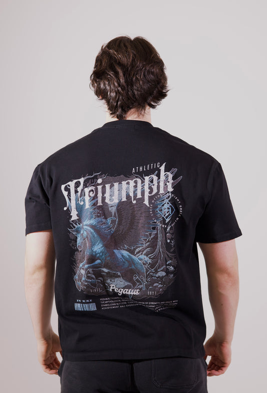 Pegasus Heavyweight Tee