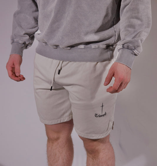 Dagger Mesh Lined Shorts