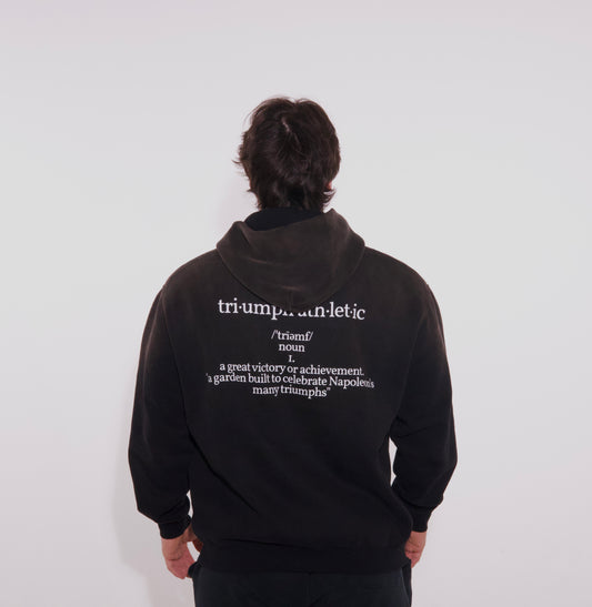 Descriptive Fleeced Hoodie
