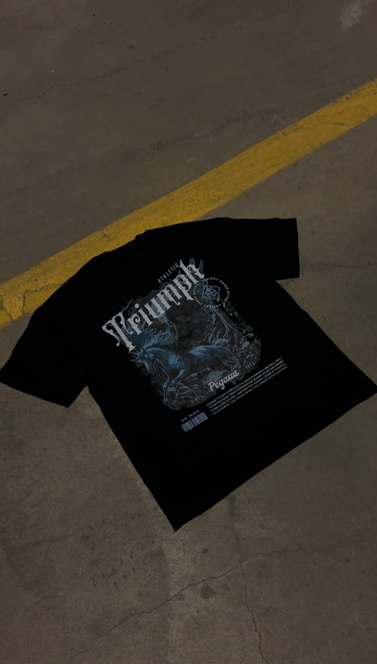 Pegasus Heavyweight Tee