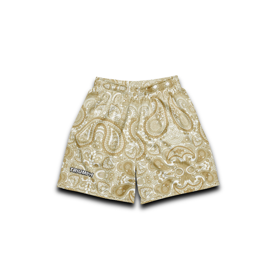 Bandana Pattern Mesh Shorts