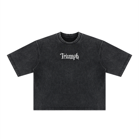 Vanquish Heavyweight Body Tee