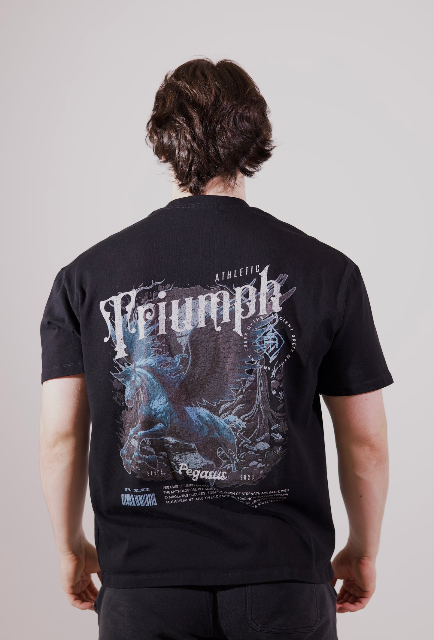 Mythical Creatures Heavyweight Tee