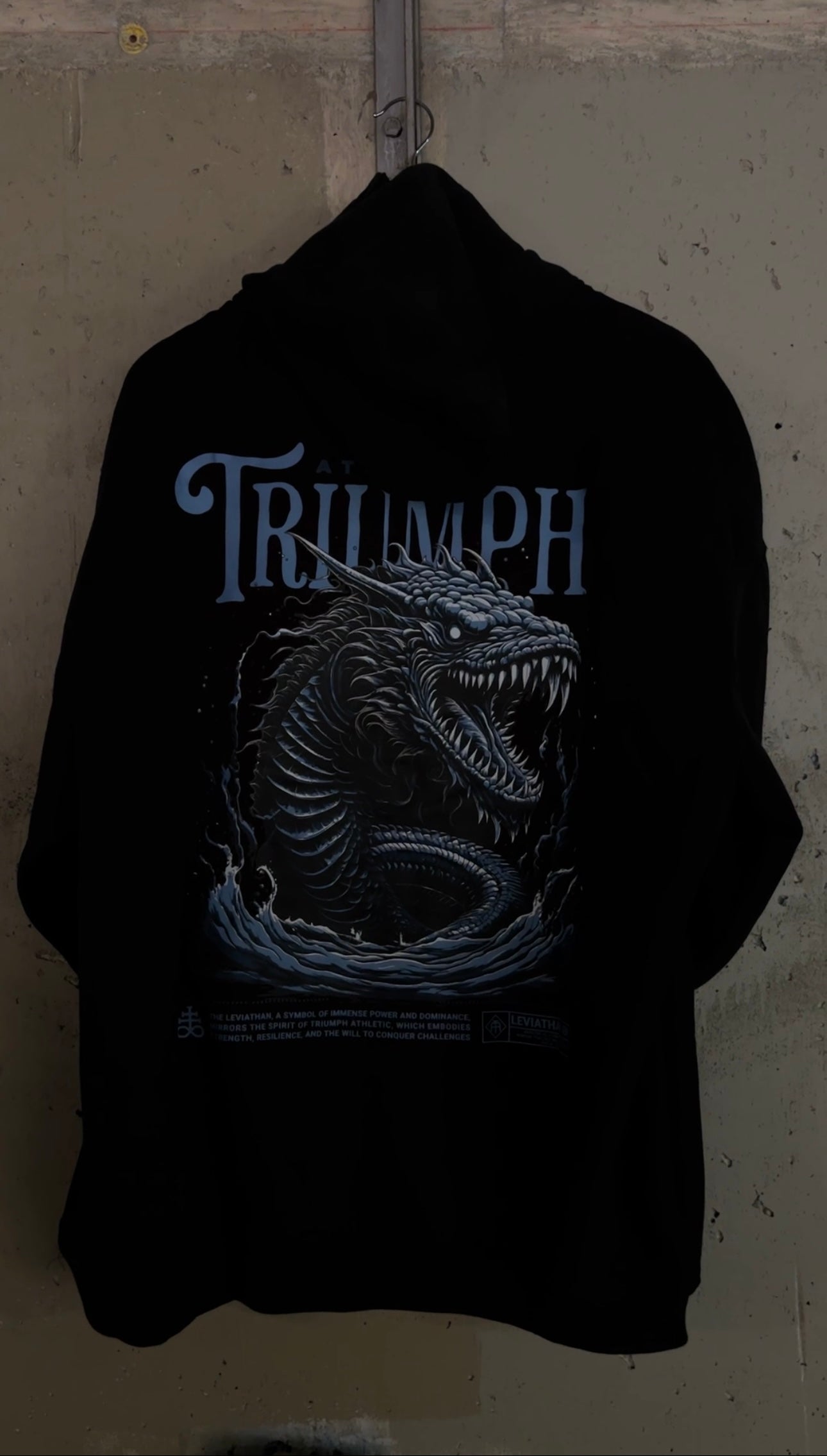 Elemental Oversized Fleece Hoodie