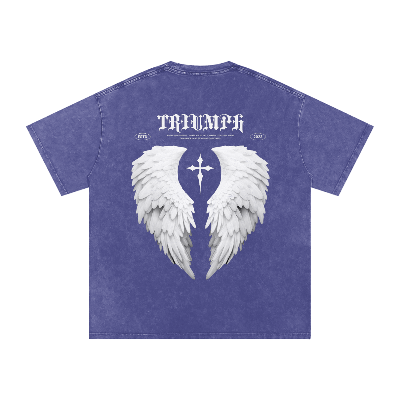 Soar Oversized Acid Washed Tee