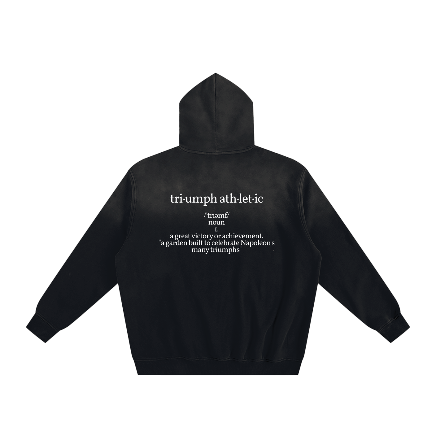 Descriptive Fleeced Hoodie