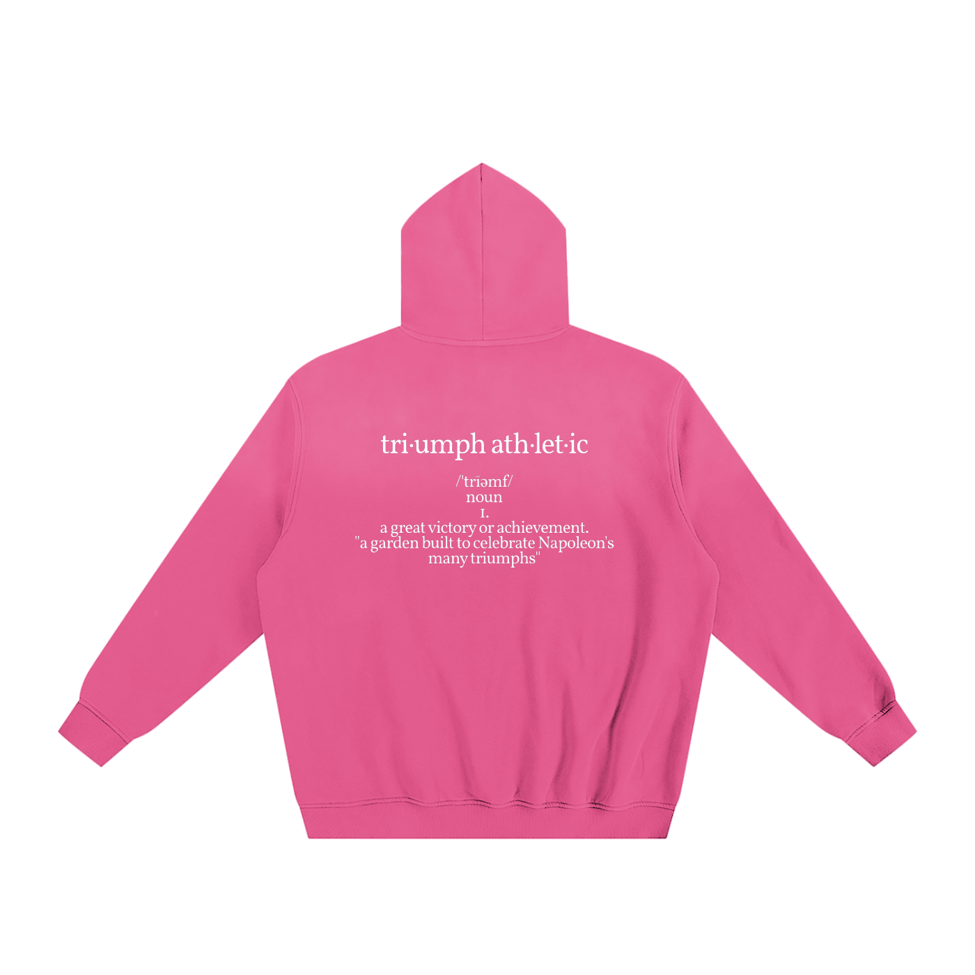 Descriptive Fleeced Hoodie