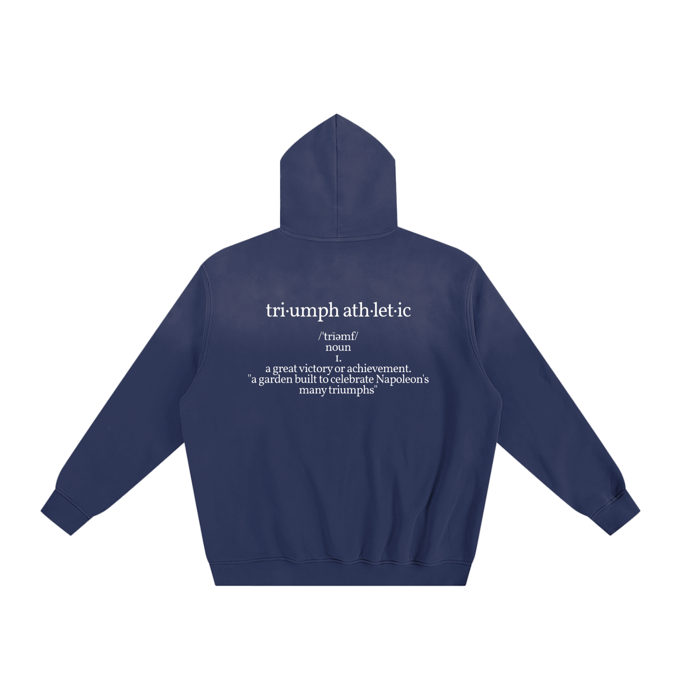 Descriptive Fleeced Hoodie