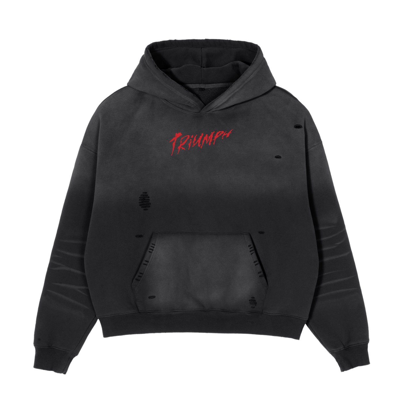 Inner Beast Oversized Hoodie