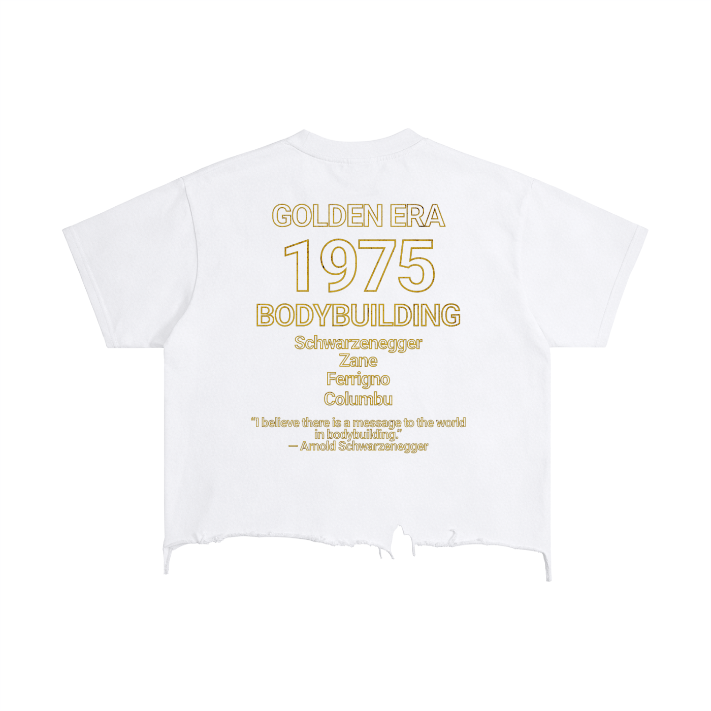 Historic Bodybuilding Wrecked Boxy Tee