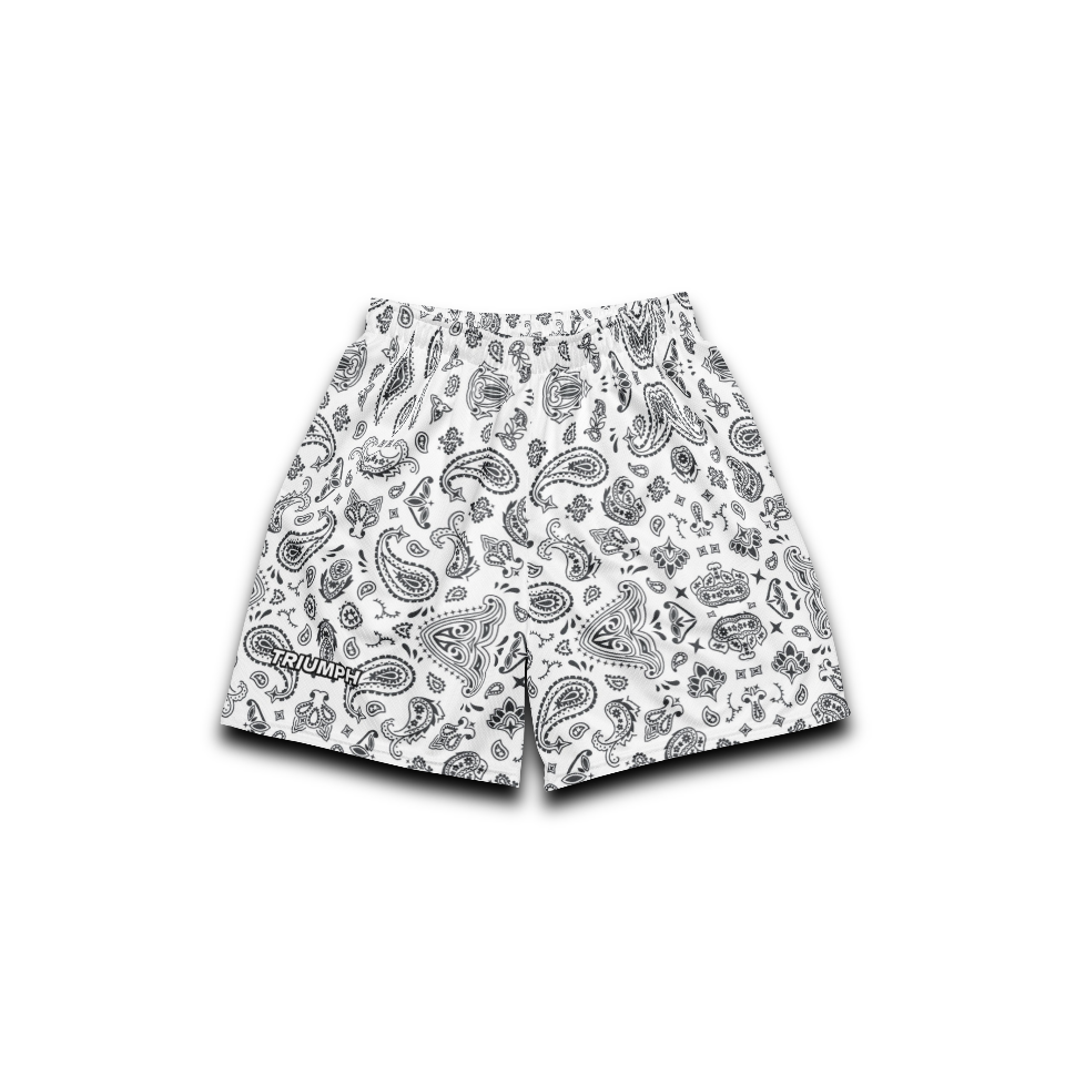 Bandana Pattern Mesh Shorts