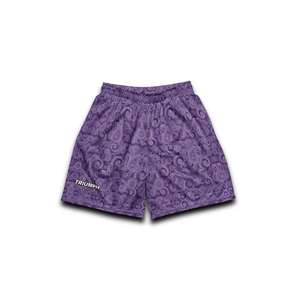 Bandana Pattern Mesh Shorts