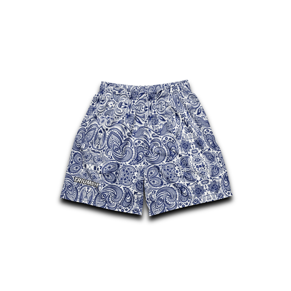 Bandana Pattern Mesh Shorts