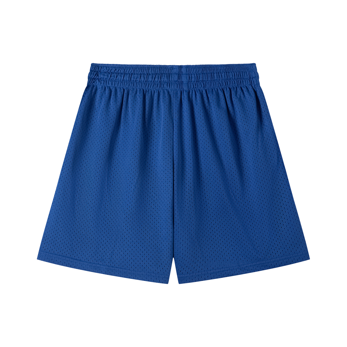 Sketch Mesh Shorts