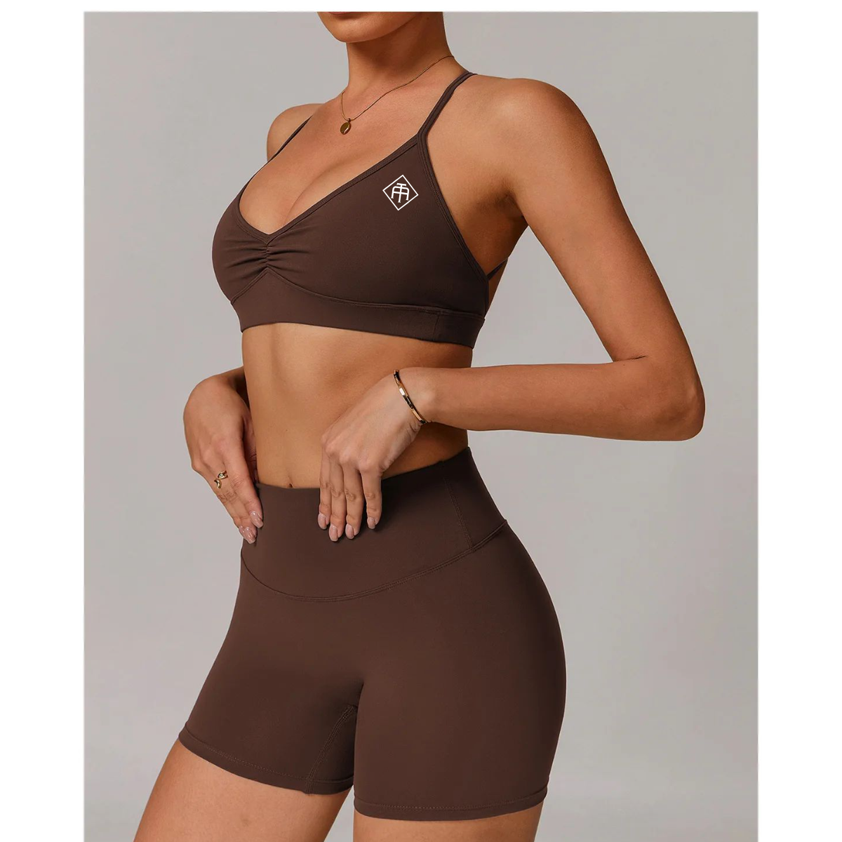 Triumph Support Sports Bra