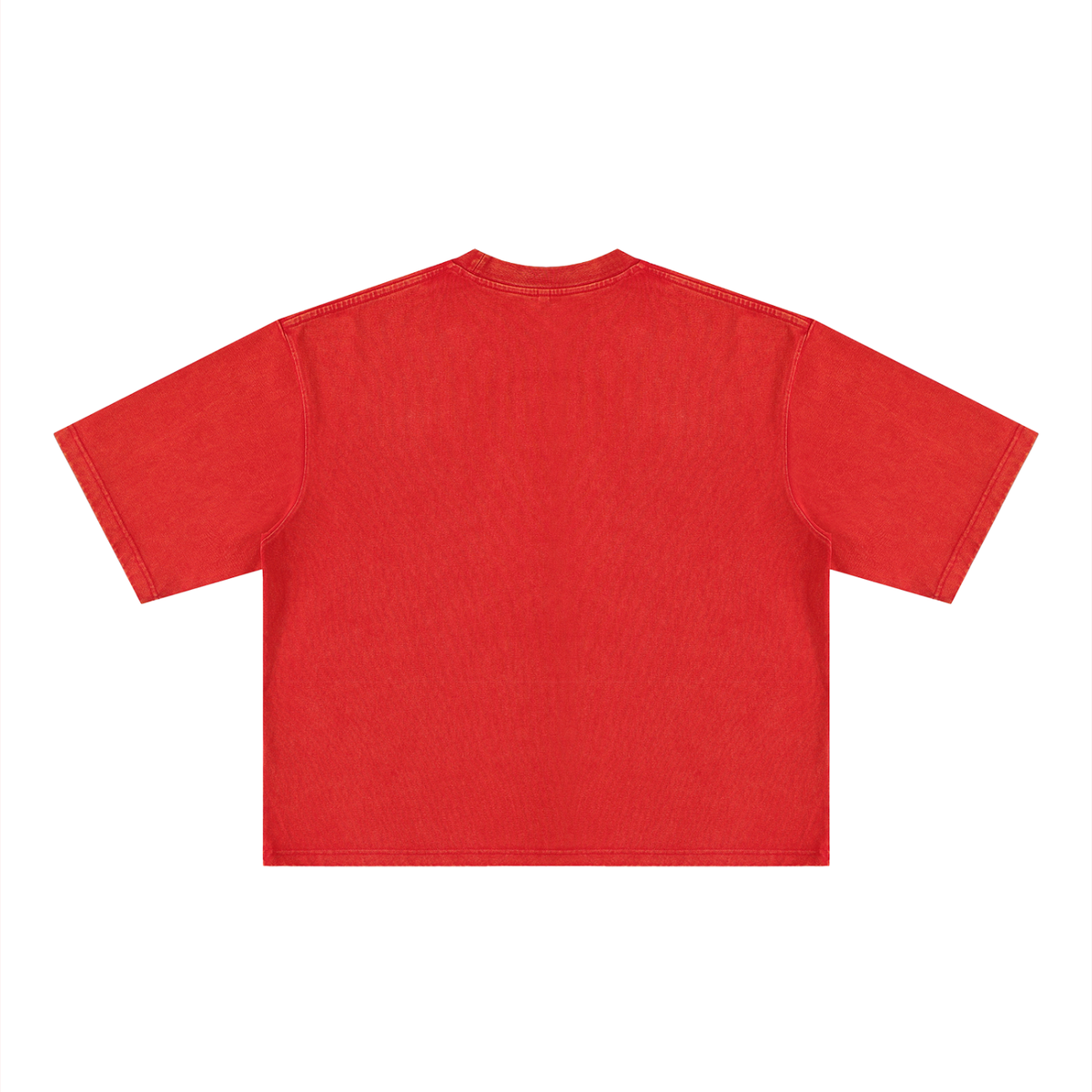 Vanquish Heavyweight Body Tee