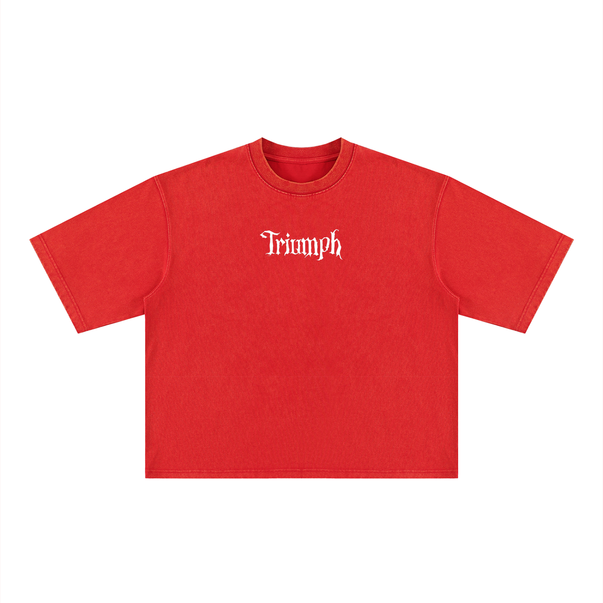 Vanquish Heavyweight Body Tee