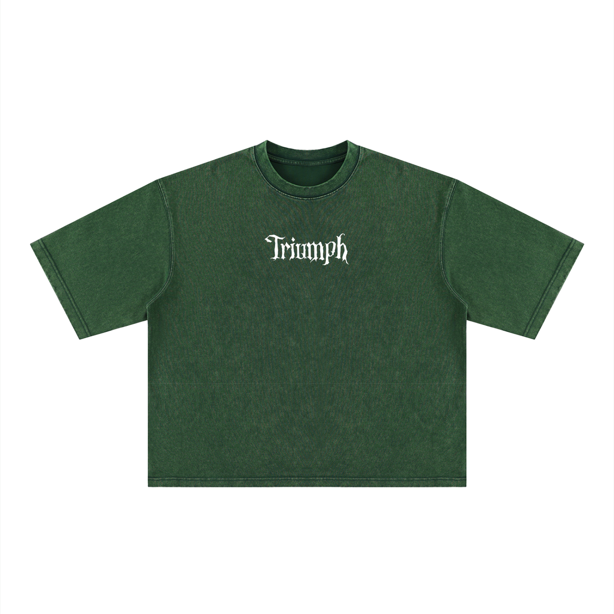 Vanquish Heavyweight Body Tee