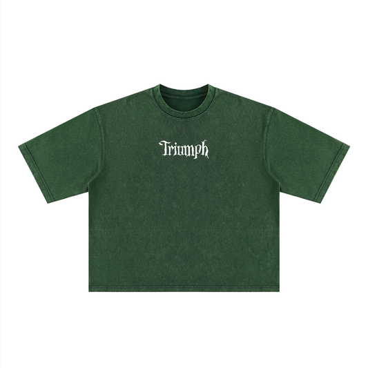 Vanquish Heavyweight Body Tee