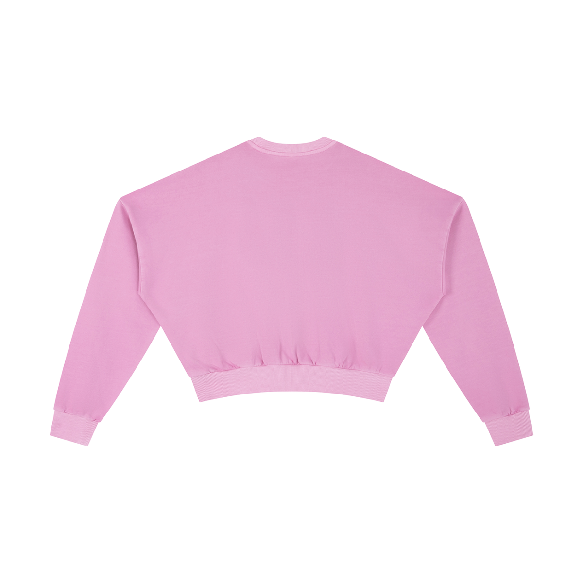 Women's Vintage Washed Cropped Sweatshirt