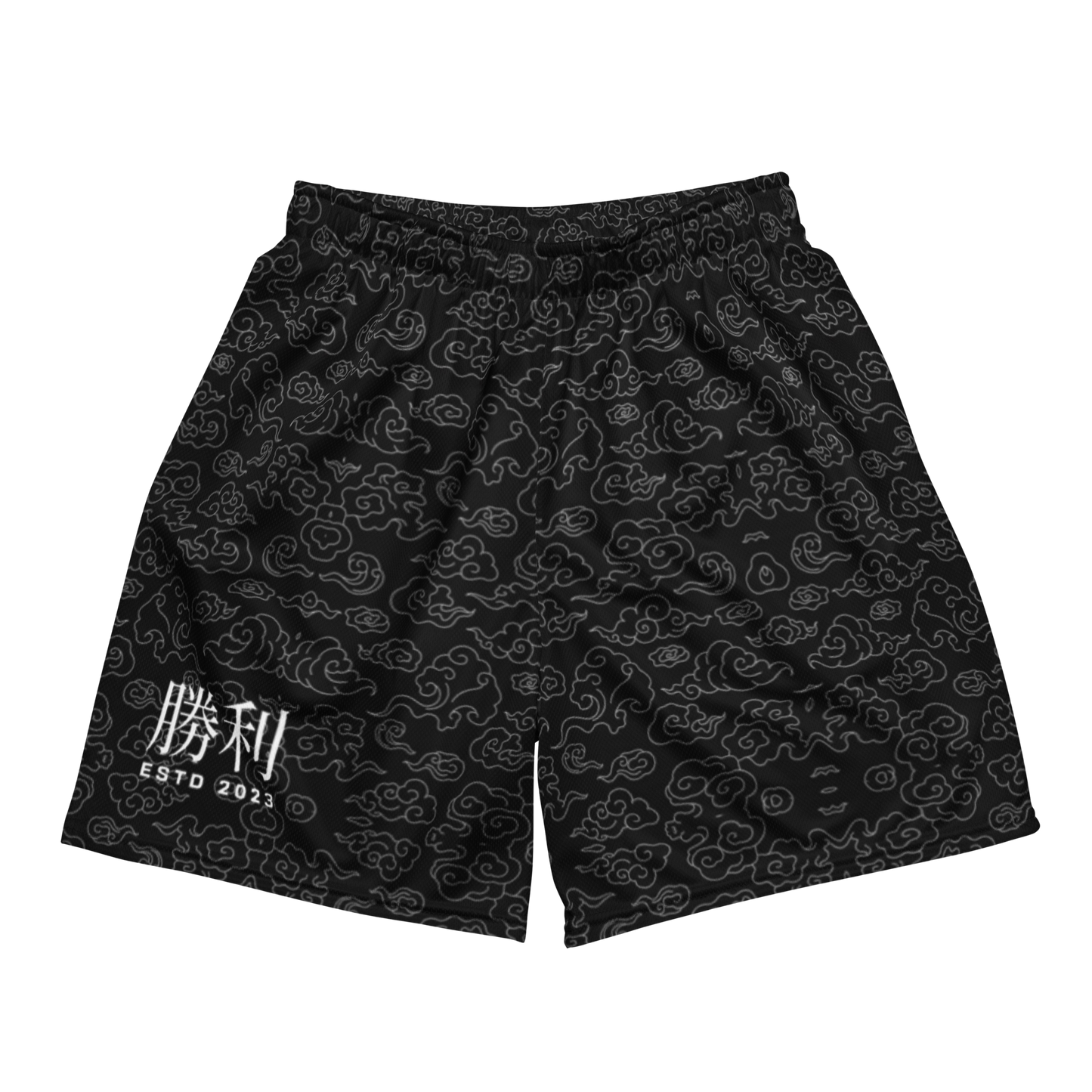 勝利 "Triumph" ESTD 2023 Mesh Shorts