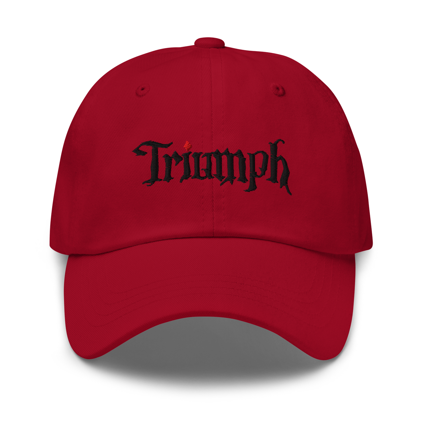 Cavern Cleanup Hat