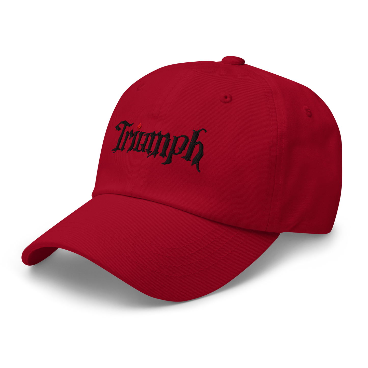 Cavern Cleanup Hat